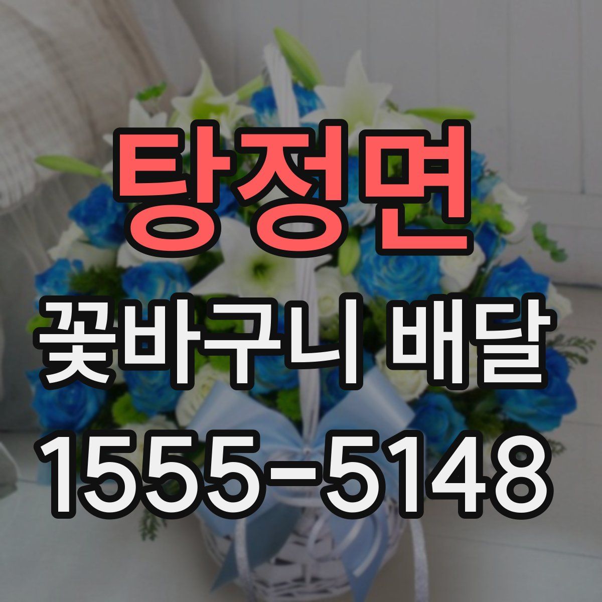 탕정면 꽃바구니 배달