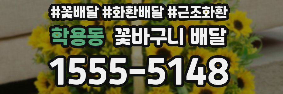 학용동 꽃바구니 배달