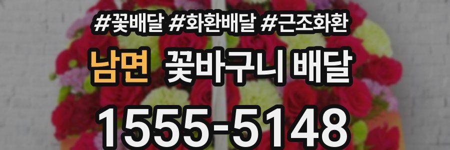 남면 꽃바구니 배달