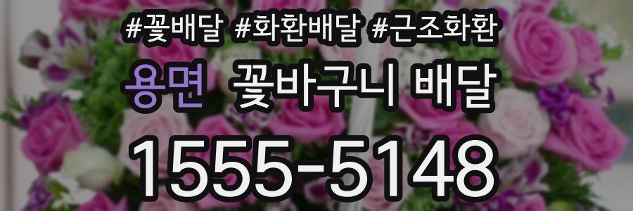 용면 꽃바구니 배달