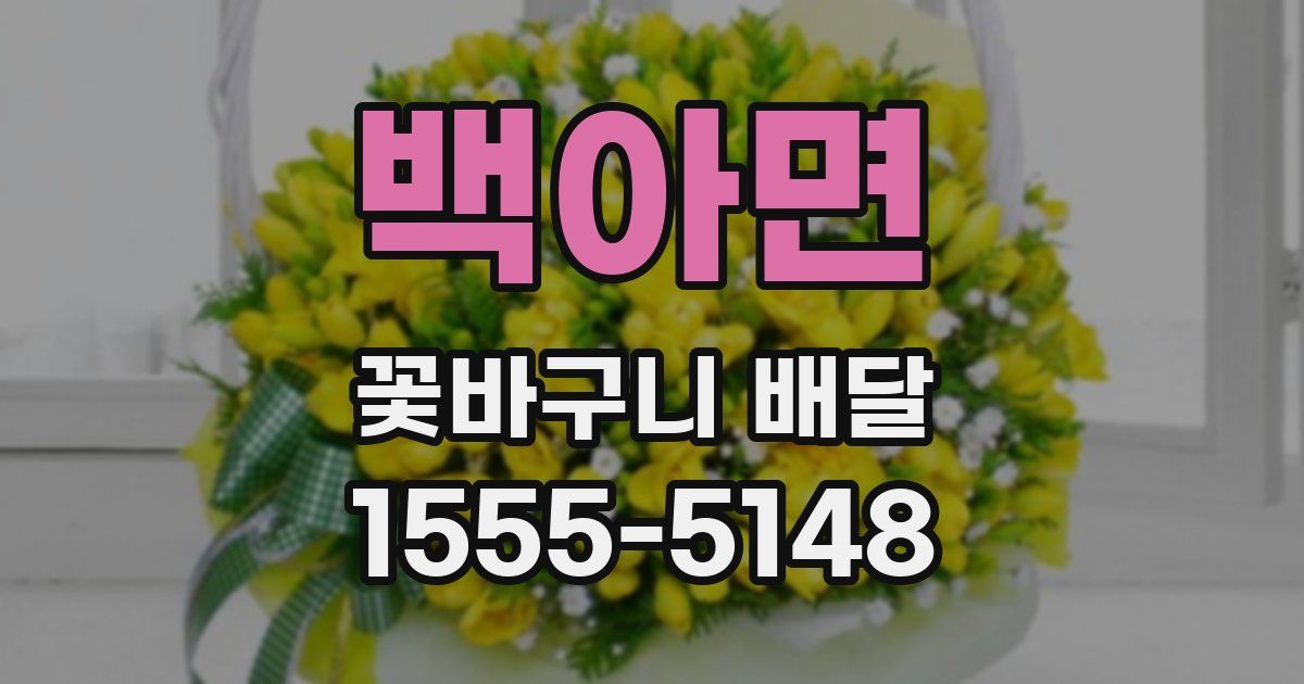 백아면 꽃바구니 배달