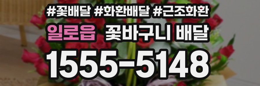 일로읍 꽃바구니 배달