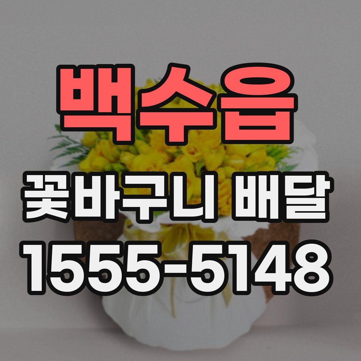 백수읍 꽃바구니 배달