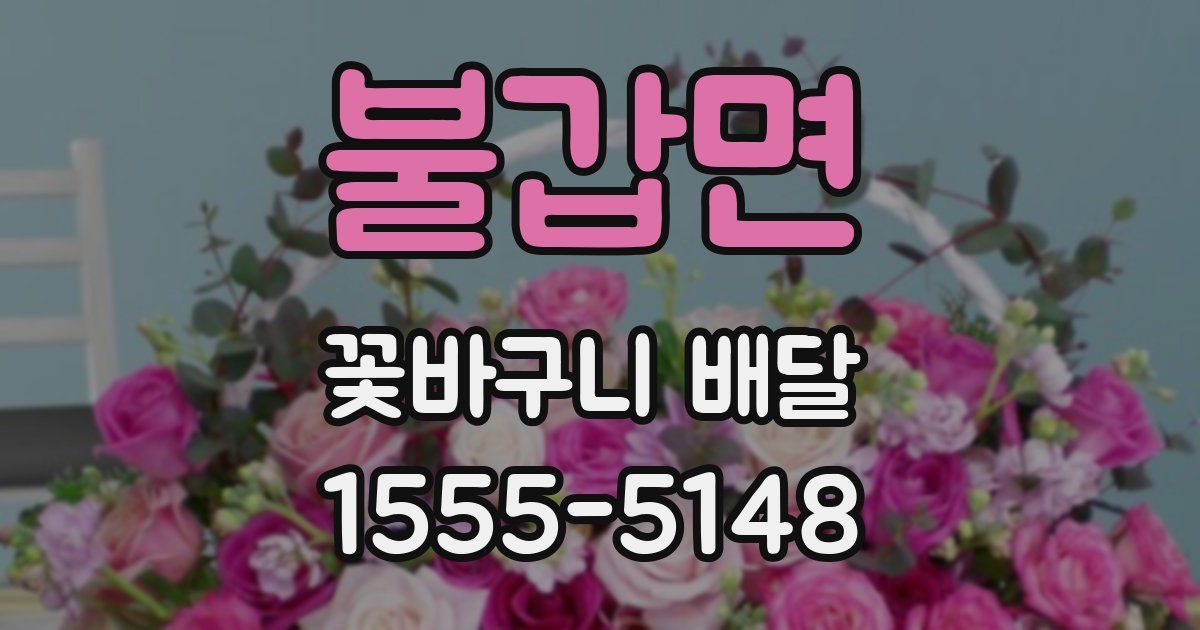 불갑면 꽃바구니 배달