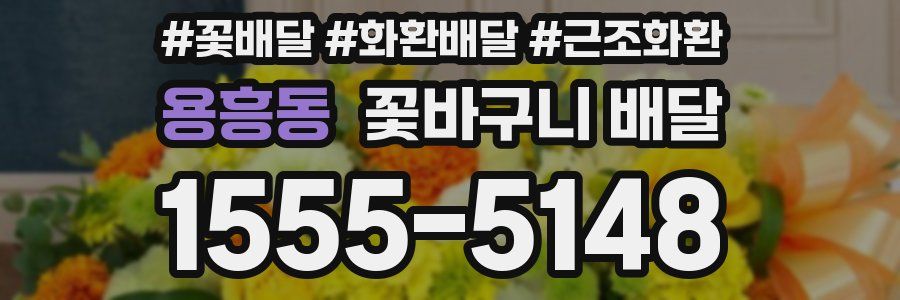용흥동 꽃바구니 배달