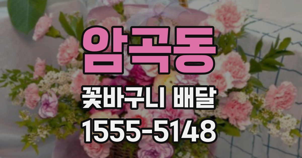 암곡동 꽃바구니 배달