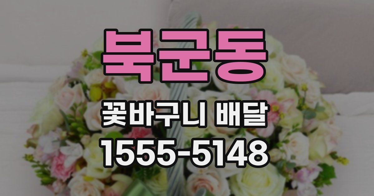 북군동 꽃바구니 배달