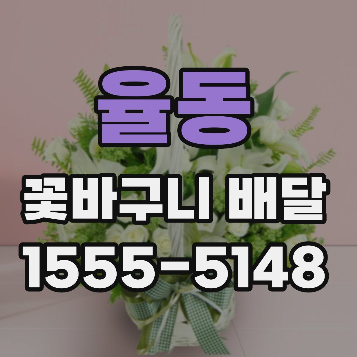 율동 꽃바구니 배달
