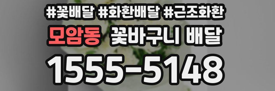 모암동 꽃바구니 배달