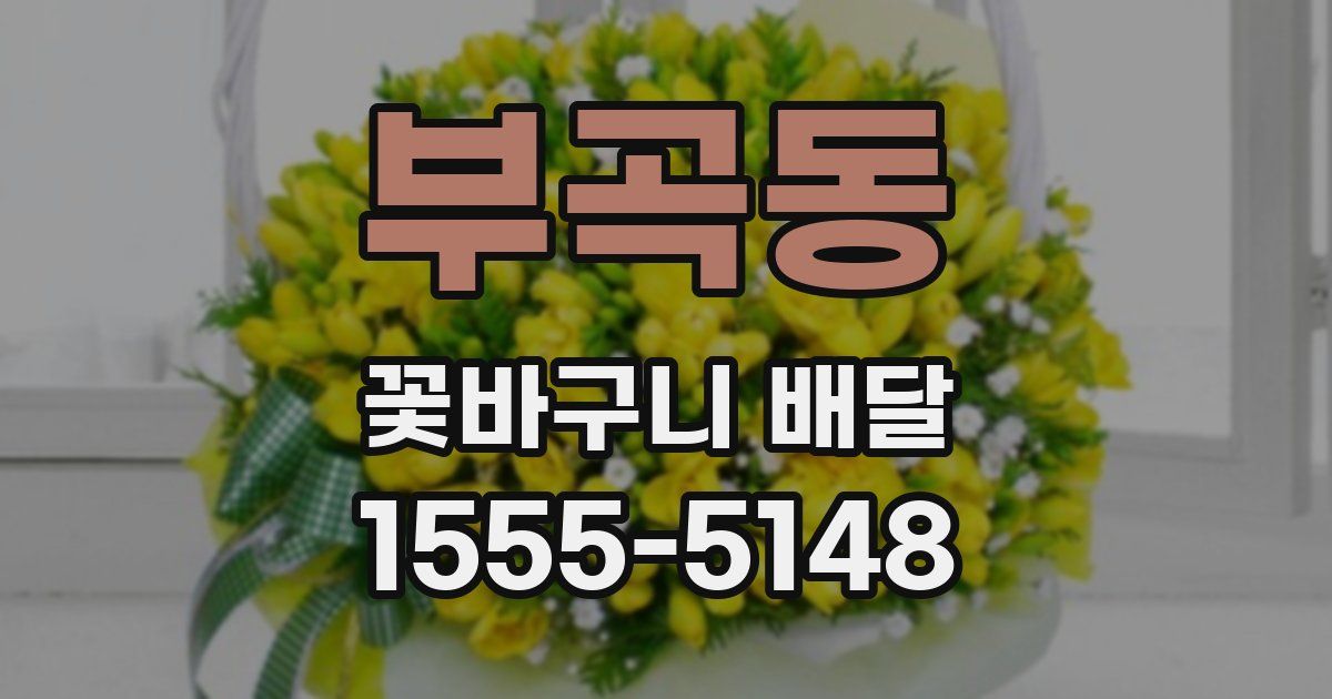 부곡동 꽃바구니 배달