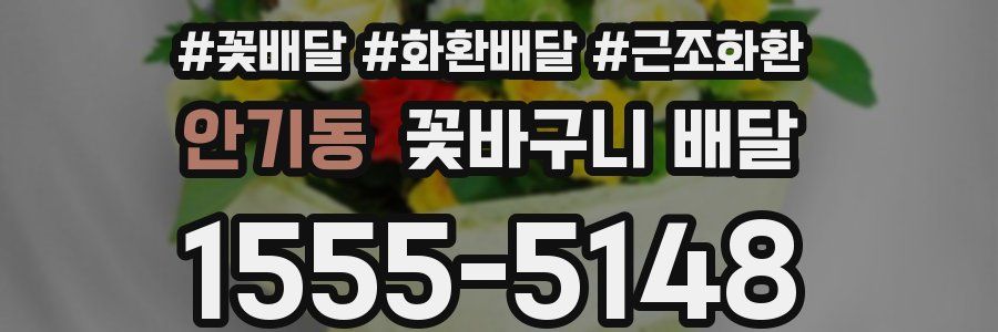 안기동 꽃바구니 배달