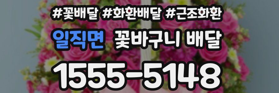 일직면 꽃바구니 배달