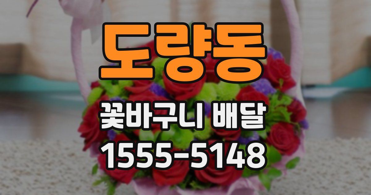 도량동 꽃바구니 배달