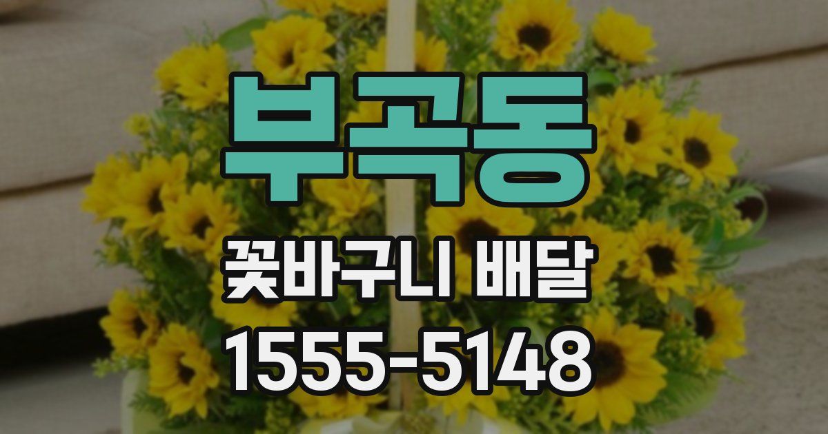 부곡동 꽃바구니 배달