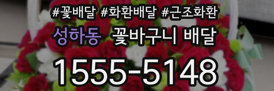 성하동 꽃바구니 배달