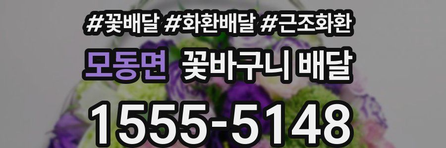 모동면 꽃바구니 배달
