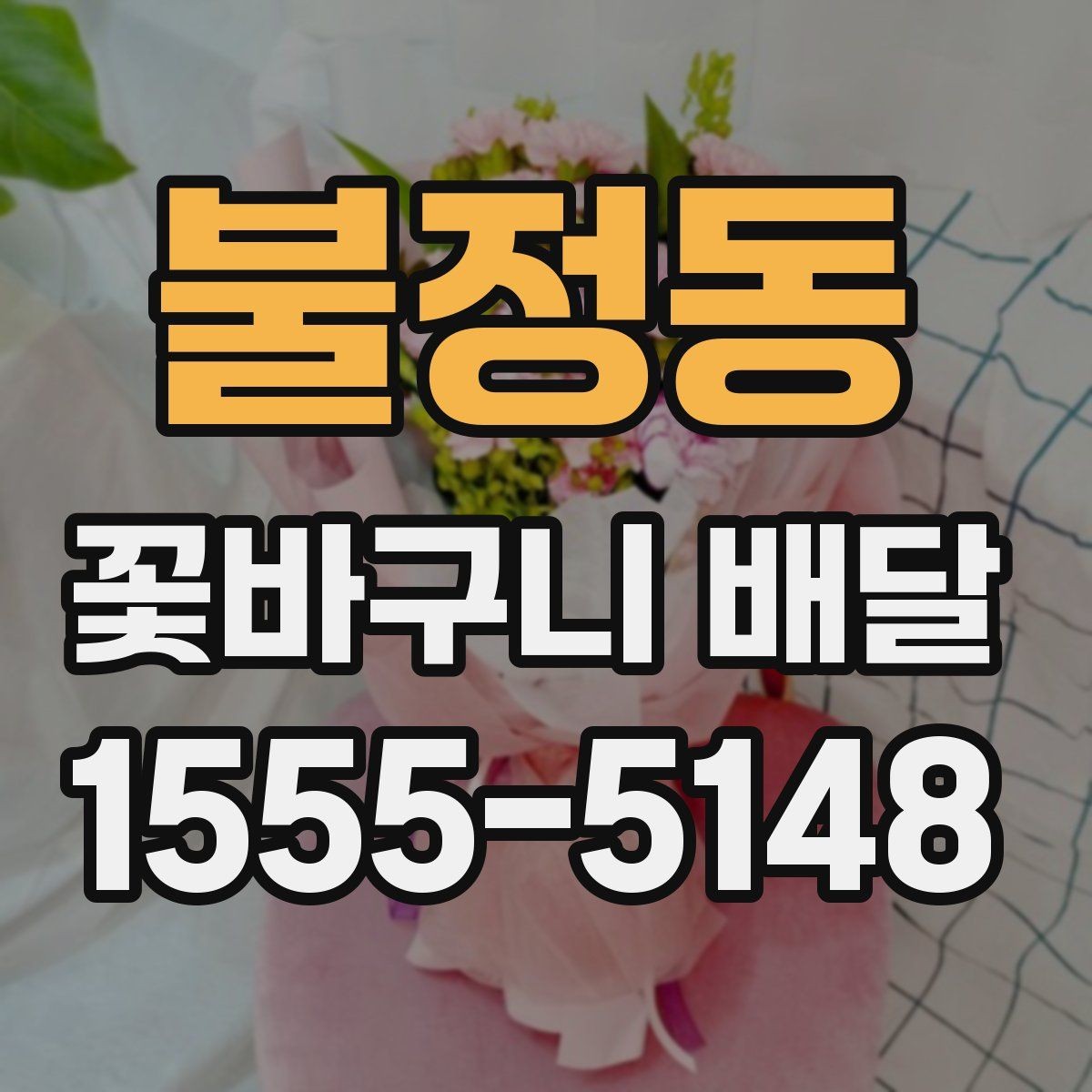 불정동 꽃바구니 배달 인기 스타일을 비교해 보기