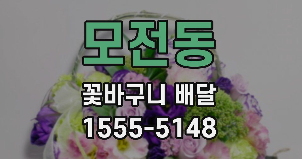 모전동 꽃바구니 배달