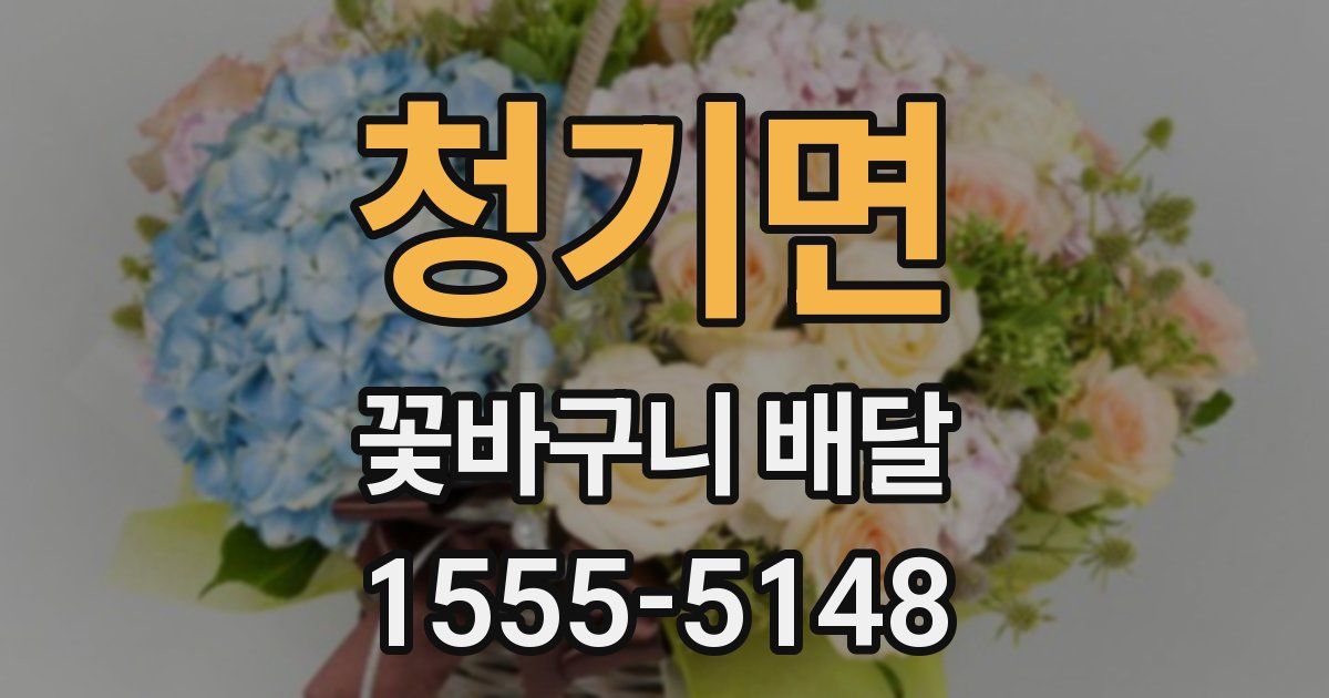 청기면 꽃바구니 배달