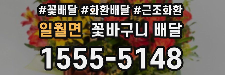일월면 꽃바구니 배달