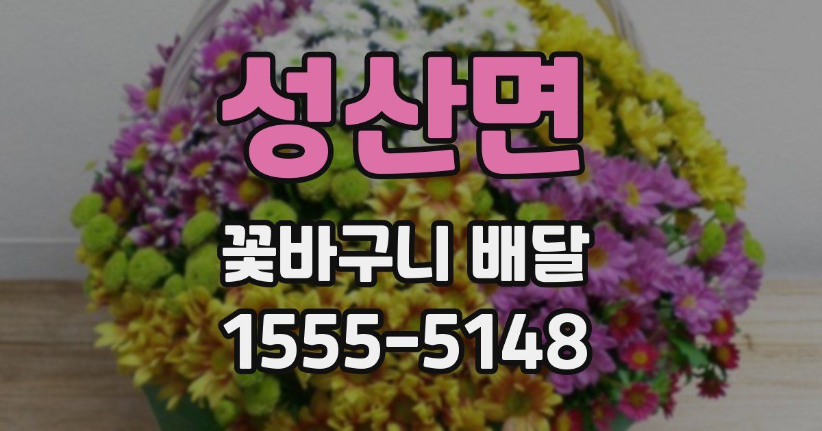 성산면 꽃바구니 배달