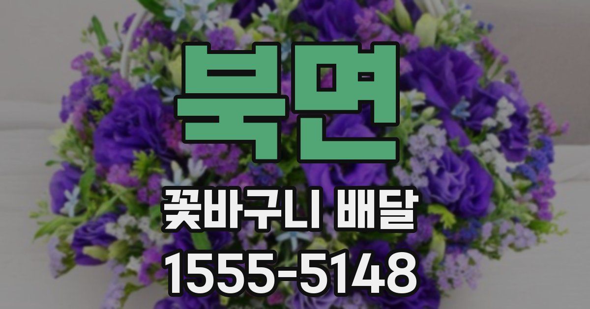 북면 꽃바구니 배달