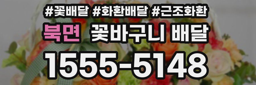 북면 꽃바구니 배달