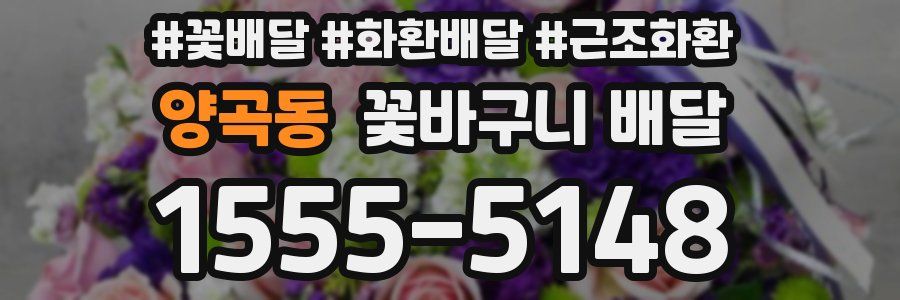 양곡동 꽃바구니 배달