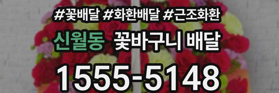 신월동 꽃바구니 배달