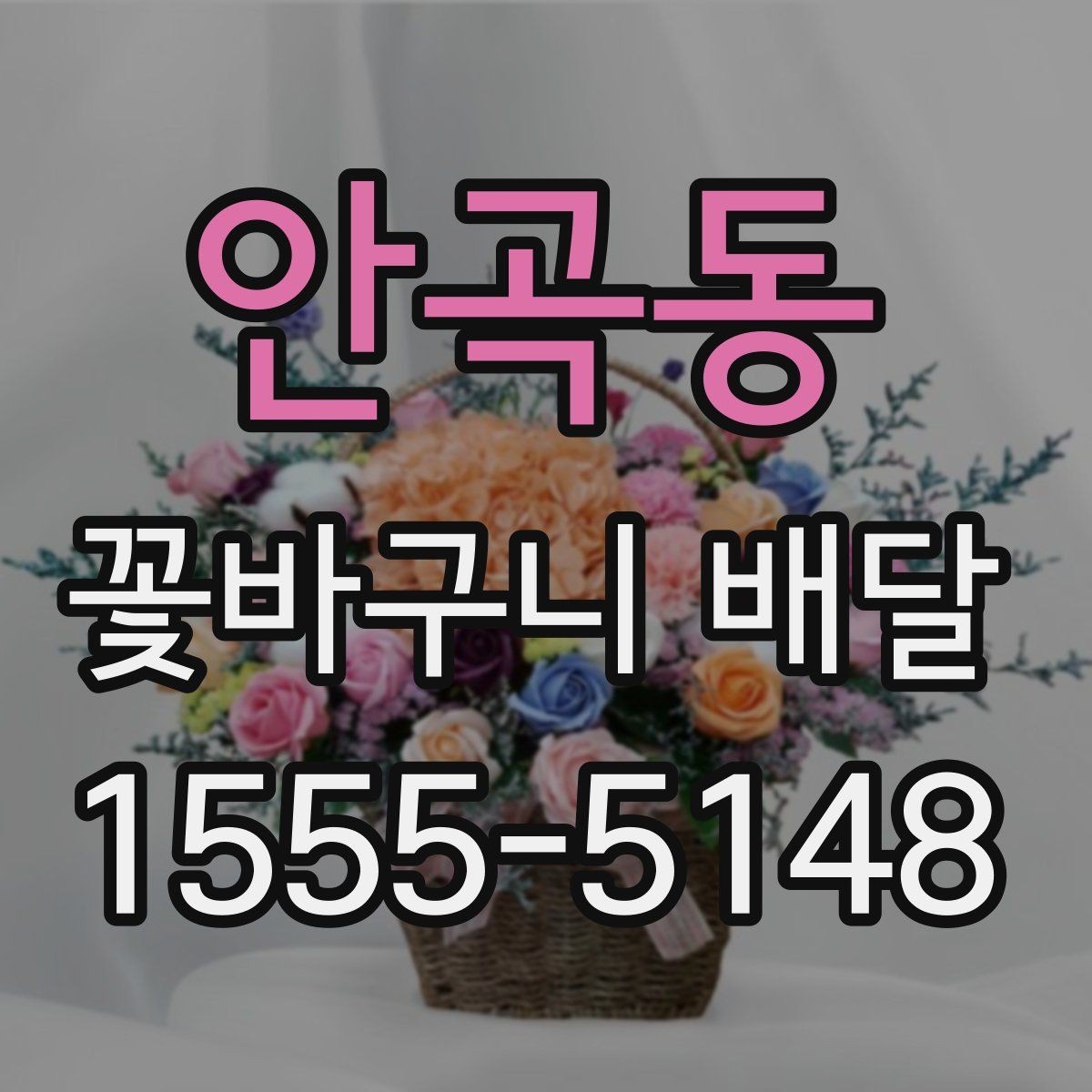 안곡동 꽃바구니 배달 센터 선택 시 비교할 항목