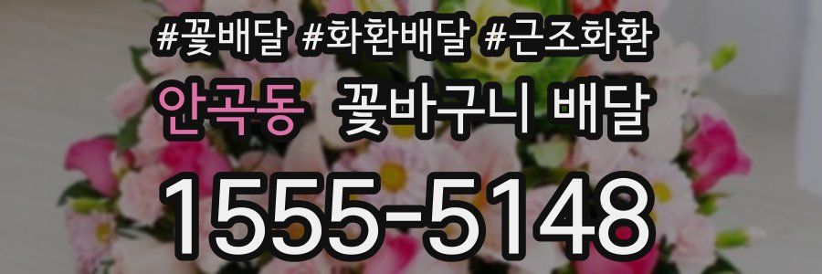 안곡동 꽃바구니 배달