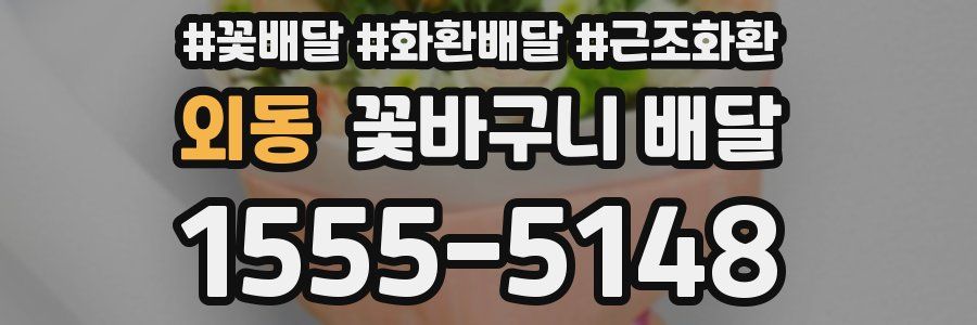 외동 꽃바구니 배달