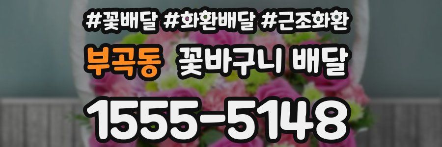 부곡동 꽃바구니 배달