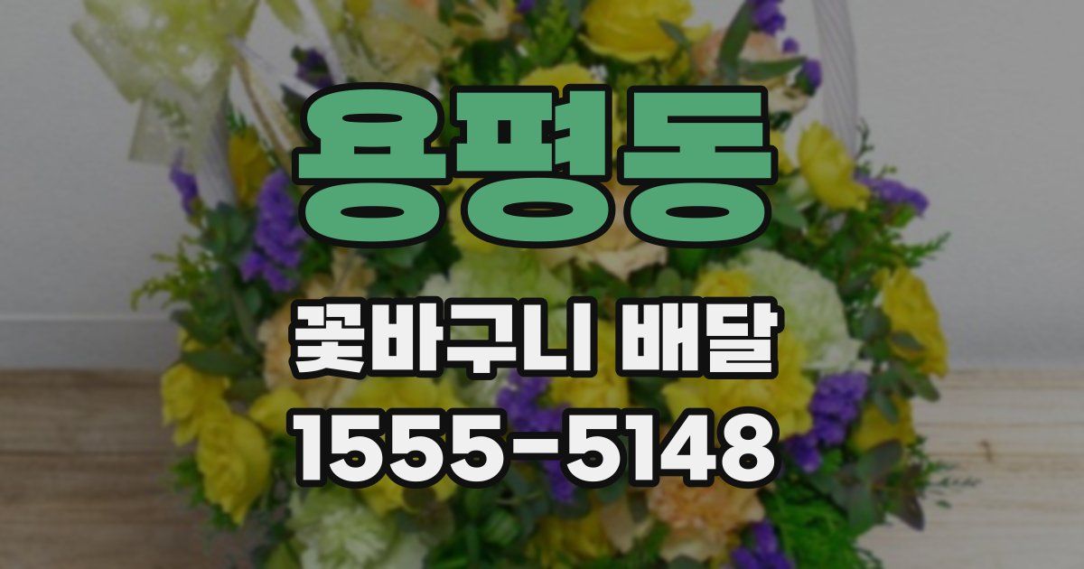 용평동 꽃바구니 배달