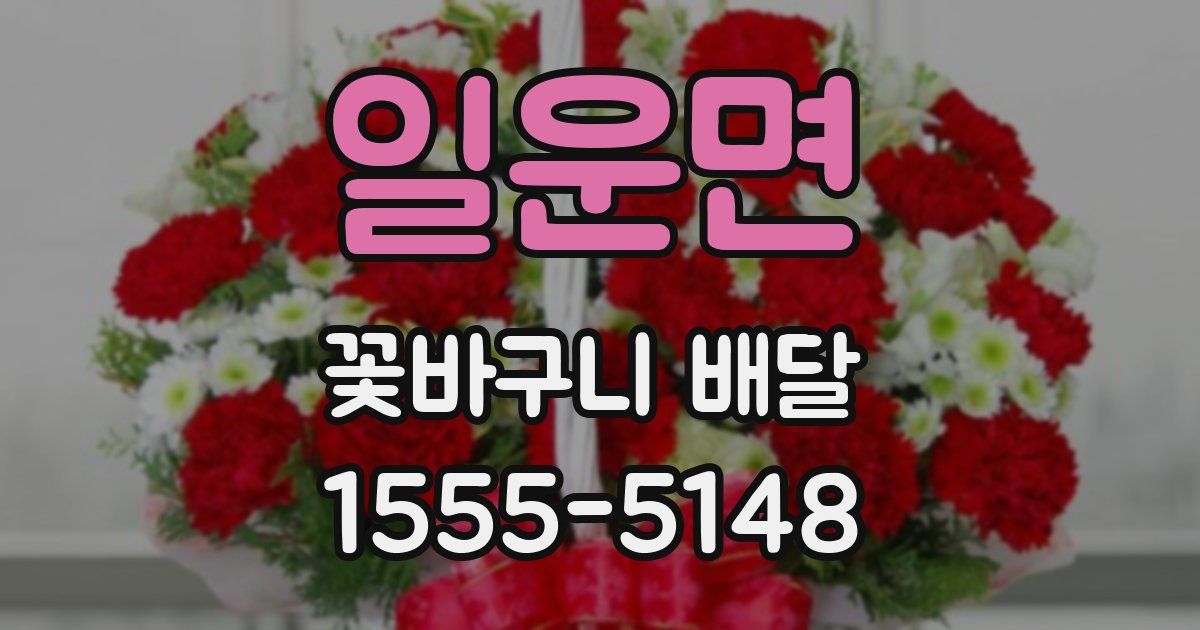 일운면 꽃바구니 배달