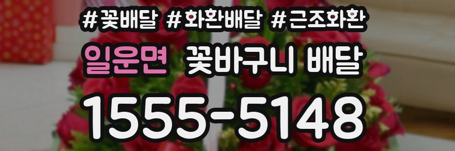 일운면 꽃바구니 배달