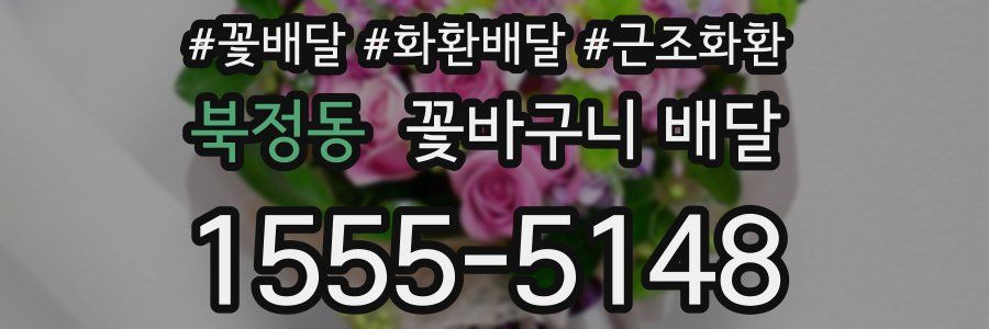 북정동 꽃바구니 배달