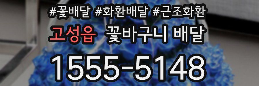 고성읍 꽃바구니 배달