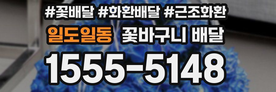일도일동 꽃바구니 배달