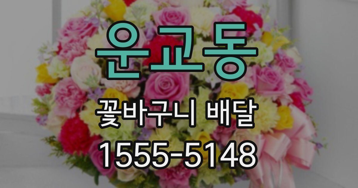 운교동 꽃바구니 배달