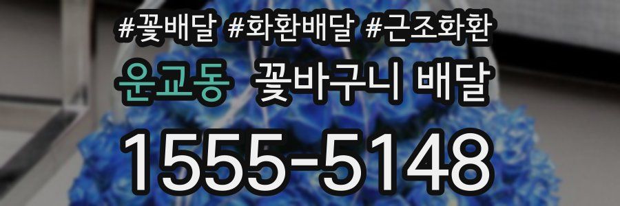 운교동 꽃바구니 배달