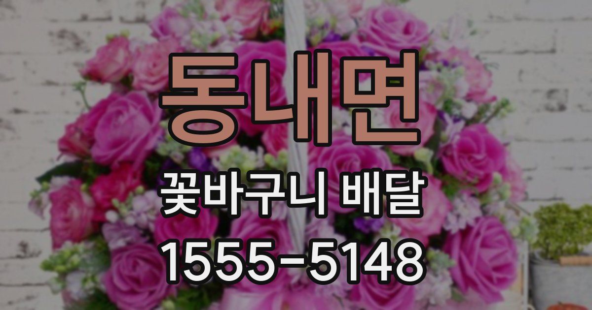 동내면 꽃바구니 배달