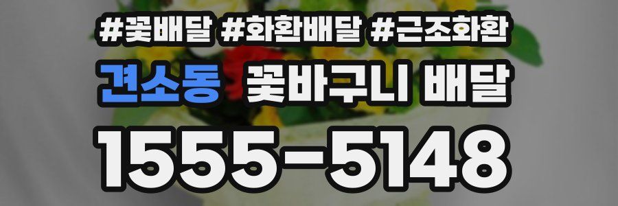 견소동 꽃바구니 배달