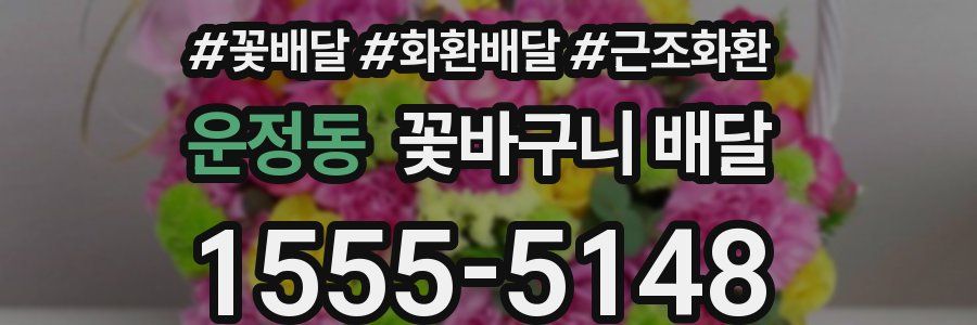 운정동 꽃바구니 배달