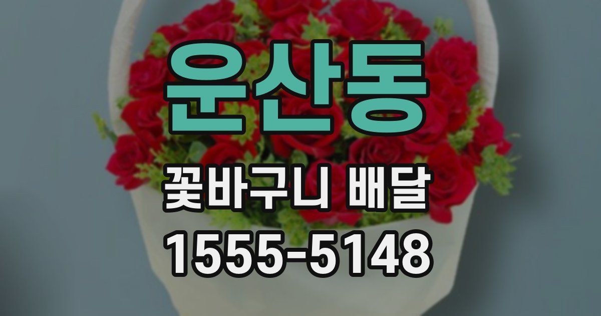 운산동 꽃바구니 배달