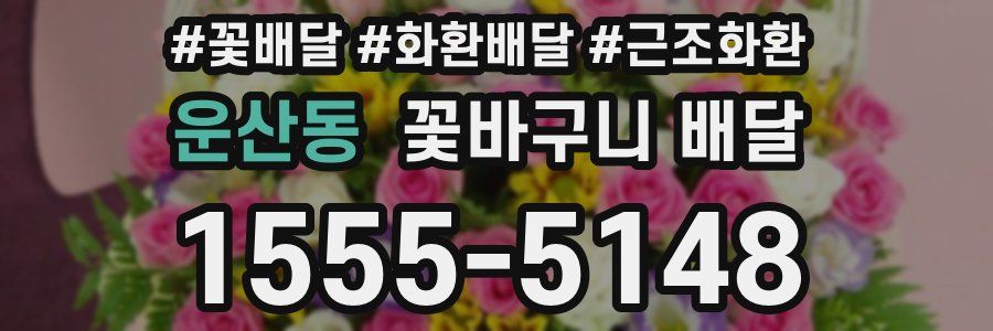 운산동 꽃바구니 배달