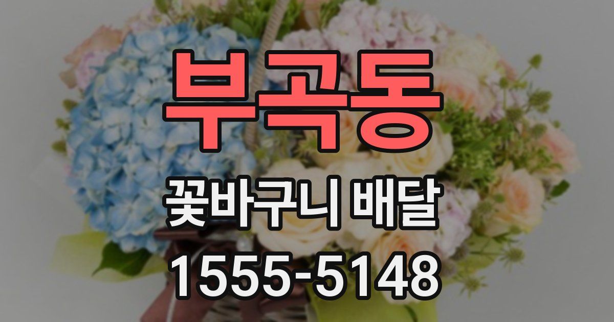 부곡동 꽃바구니 배달