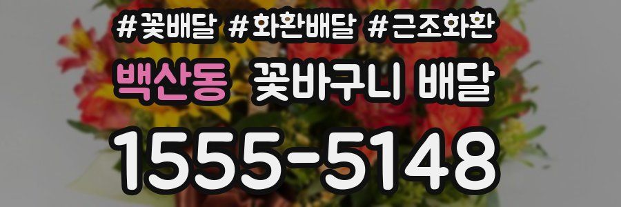 백산동 꽃바구니 배달