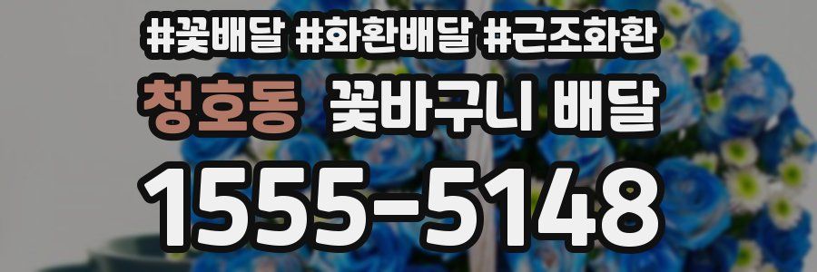 청호동 꽃바구니 배달