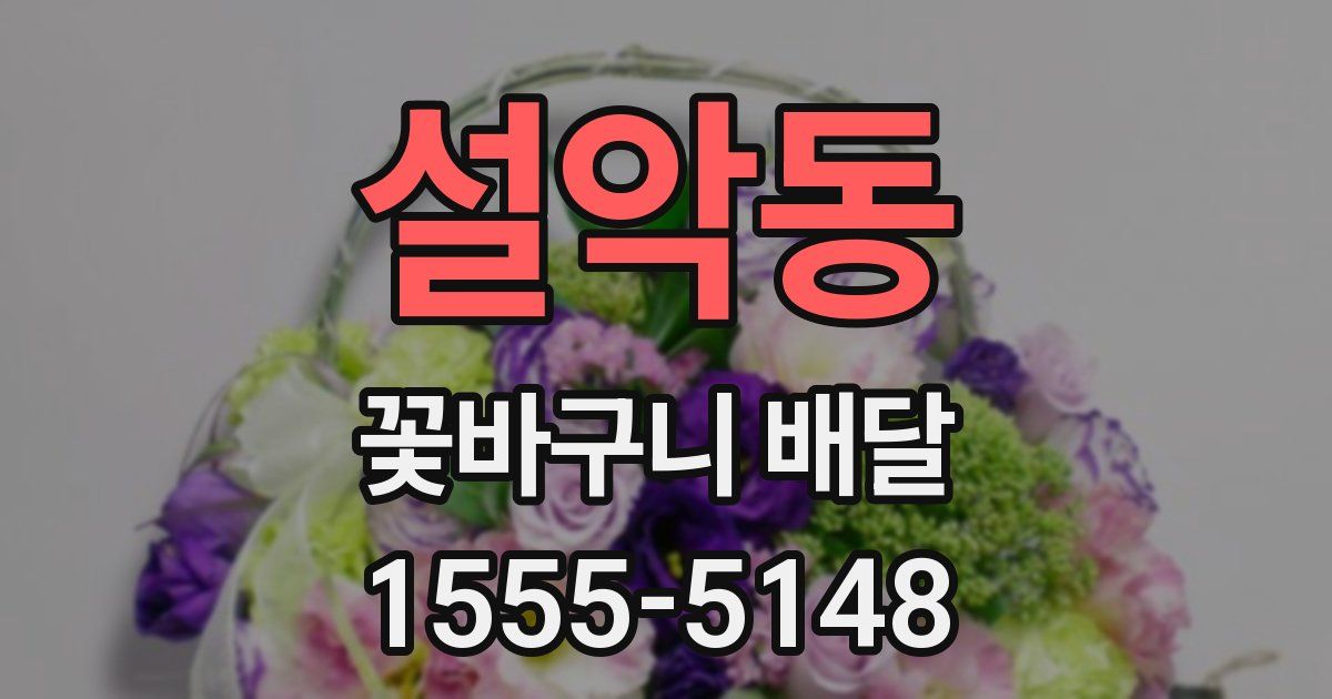 설악동 꽃바구니 배달